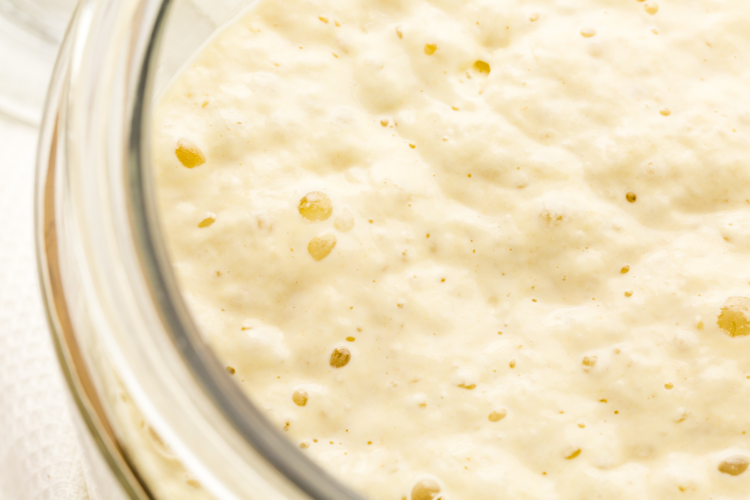 Perfect Sourdough Bread Starter